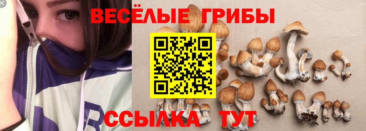 Галлюциногенные грибы мицелий Избербаш